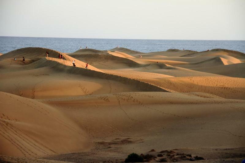 Vacacional Tegueste 1ºa مْبيسينداريو المظهر الخارجي الصورة